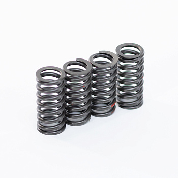 Пружины клапана ГРМ ZS177MM (NC250) /174MN-3 (CBS300) (компл=4шт)